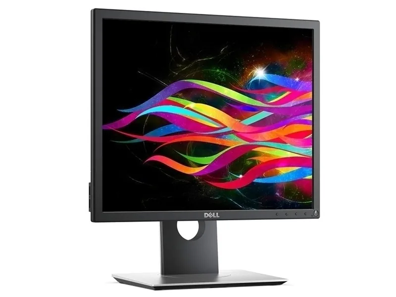 Dell 19 P1917S
