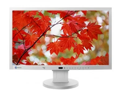 EIZO FlexScan EV2313W