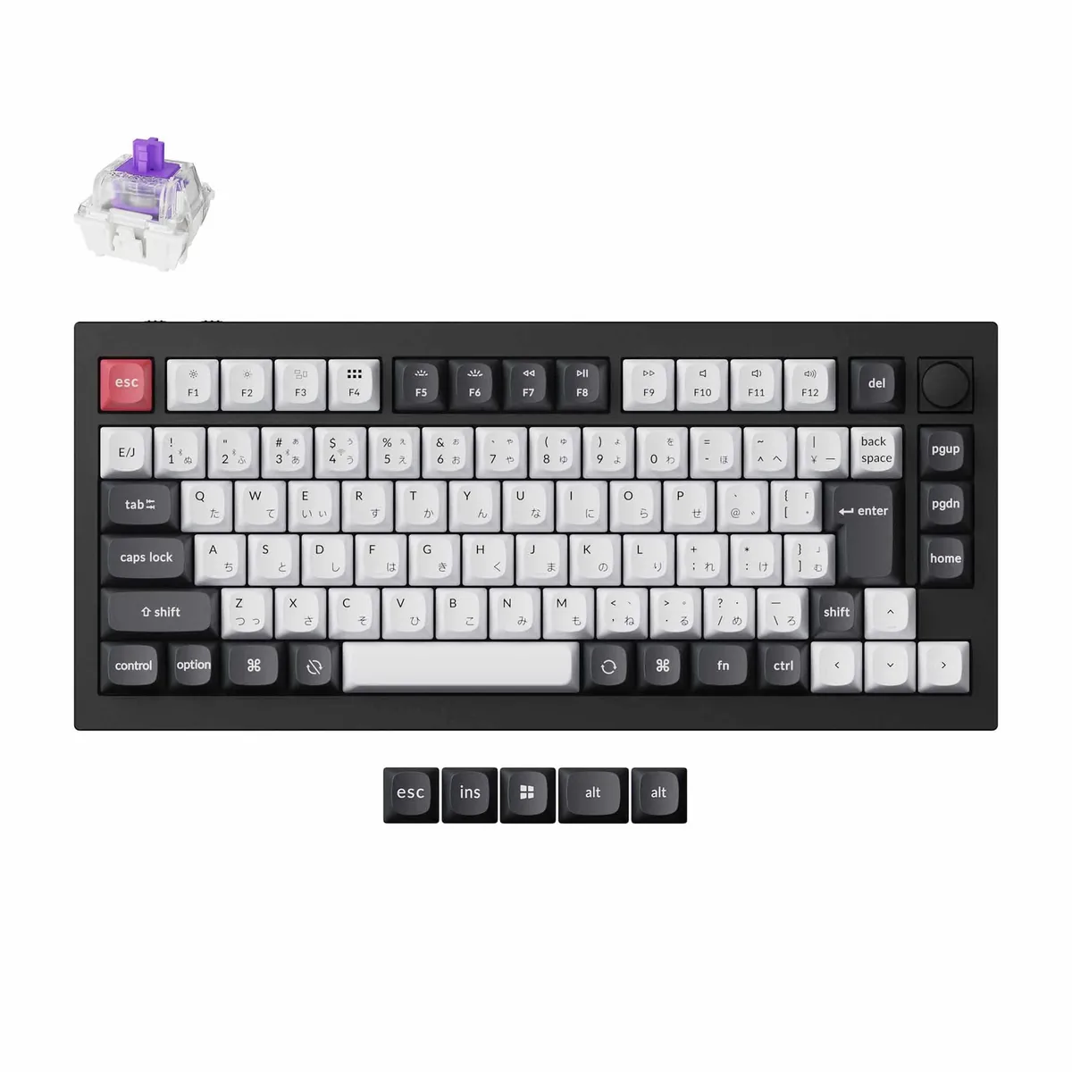 Keychron Q1 He Qmk Wireless Custom Keyboard Japan Jis Layout