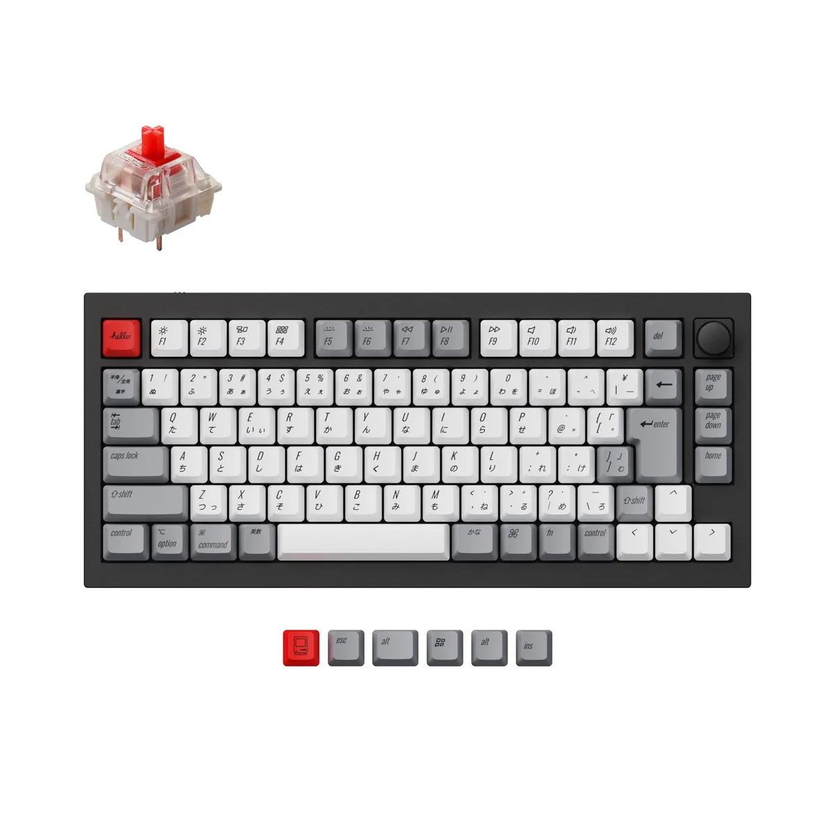 Keychron Q1 Qmk Custom Mechanical Keyboard Japan Jis Layout