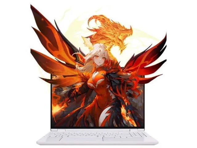 Mechrevo 翼龙15 Pro