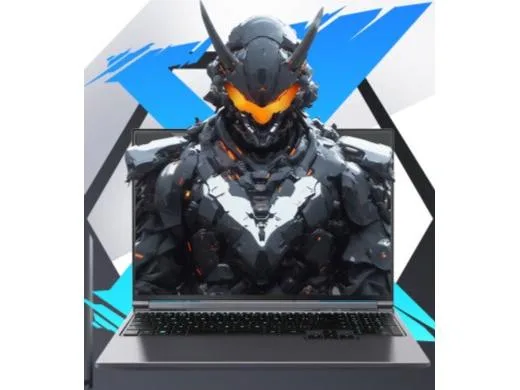 Mechrevo 极光X i7-14650HX
